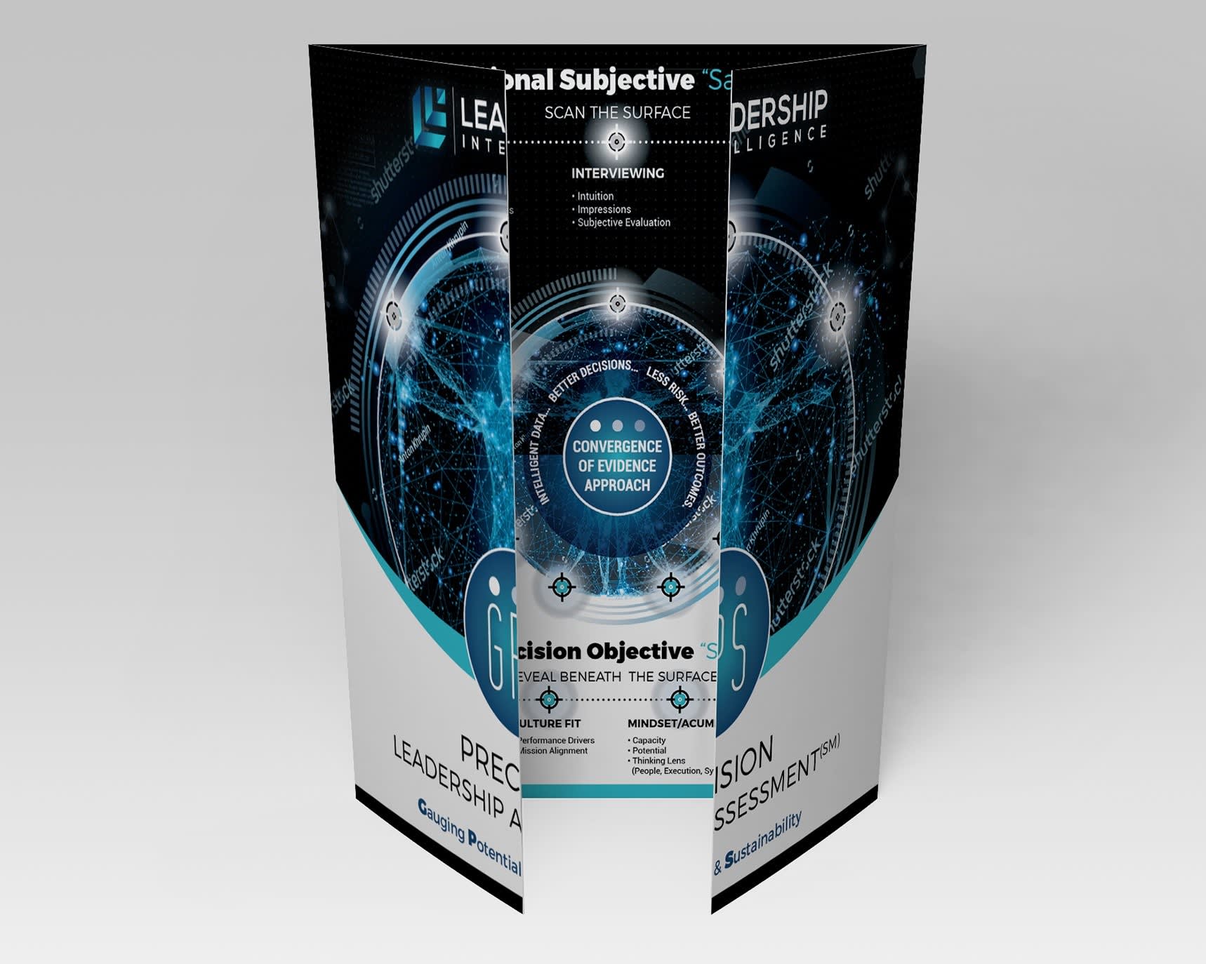 Leadership Intelligence LLC brochure